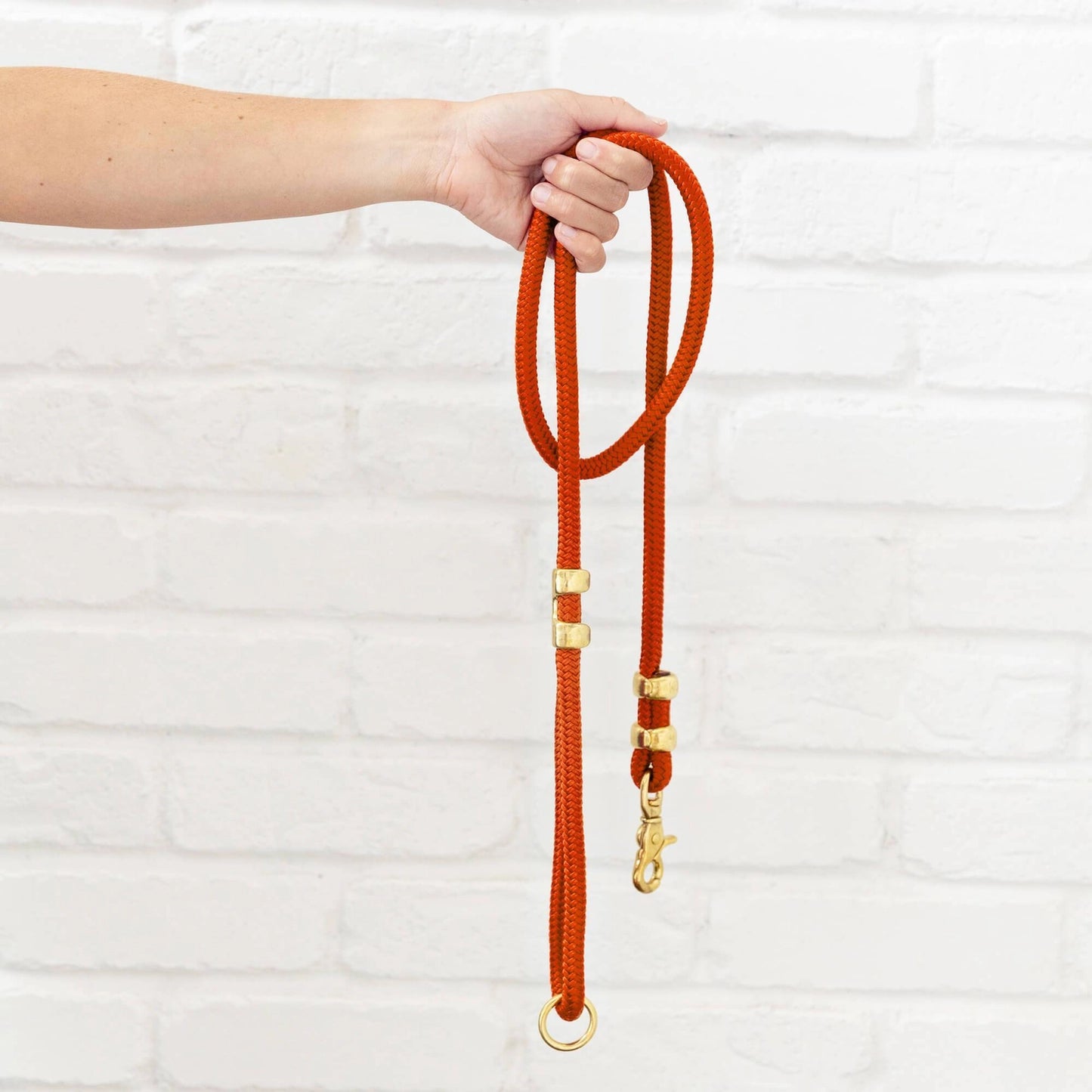 Cider Marine Rope Dog Leash by The Foggy Dog