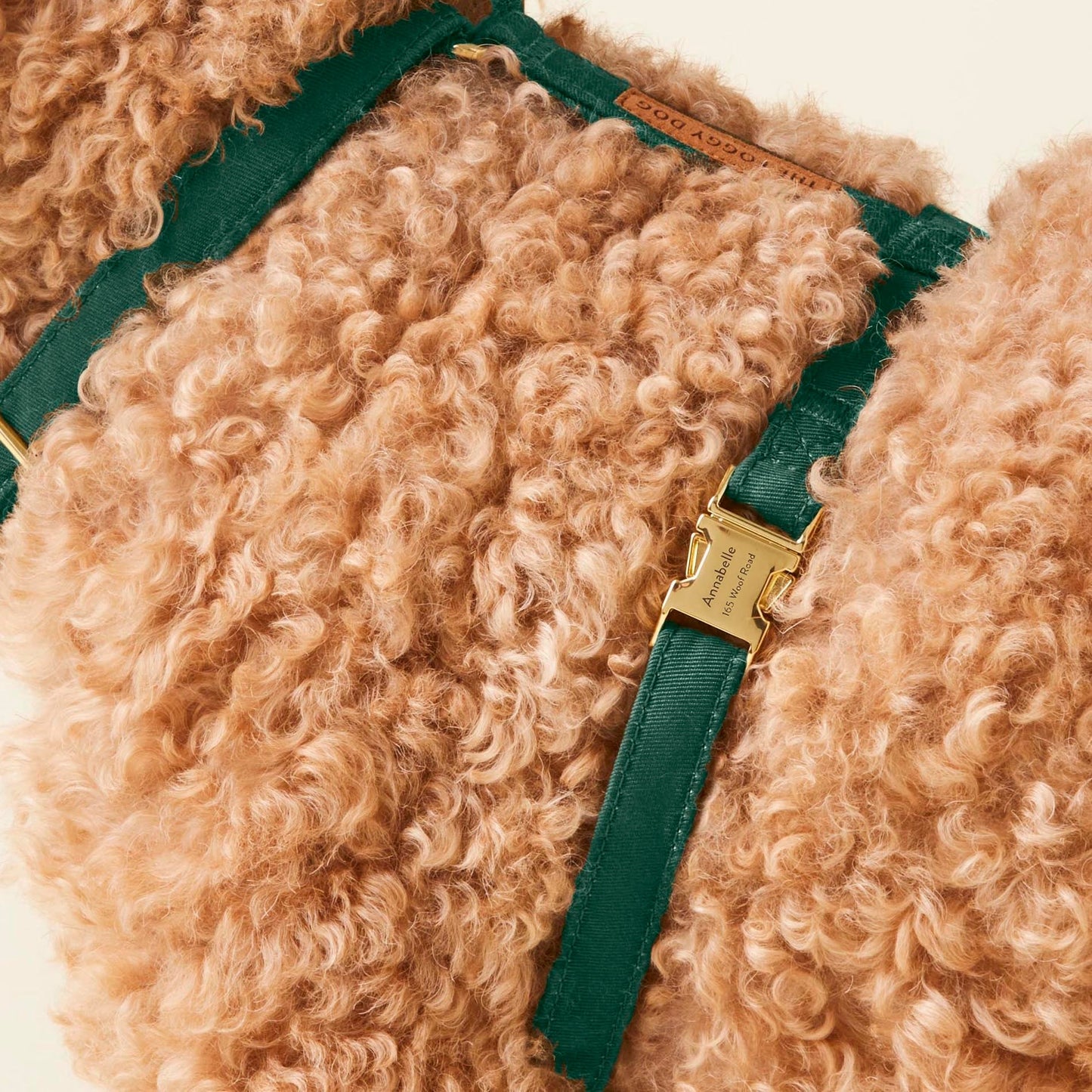Evergreen Dog Harness by The Foggy Dog
