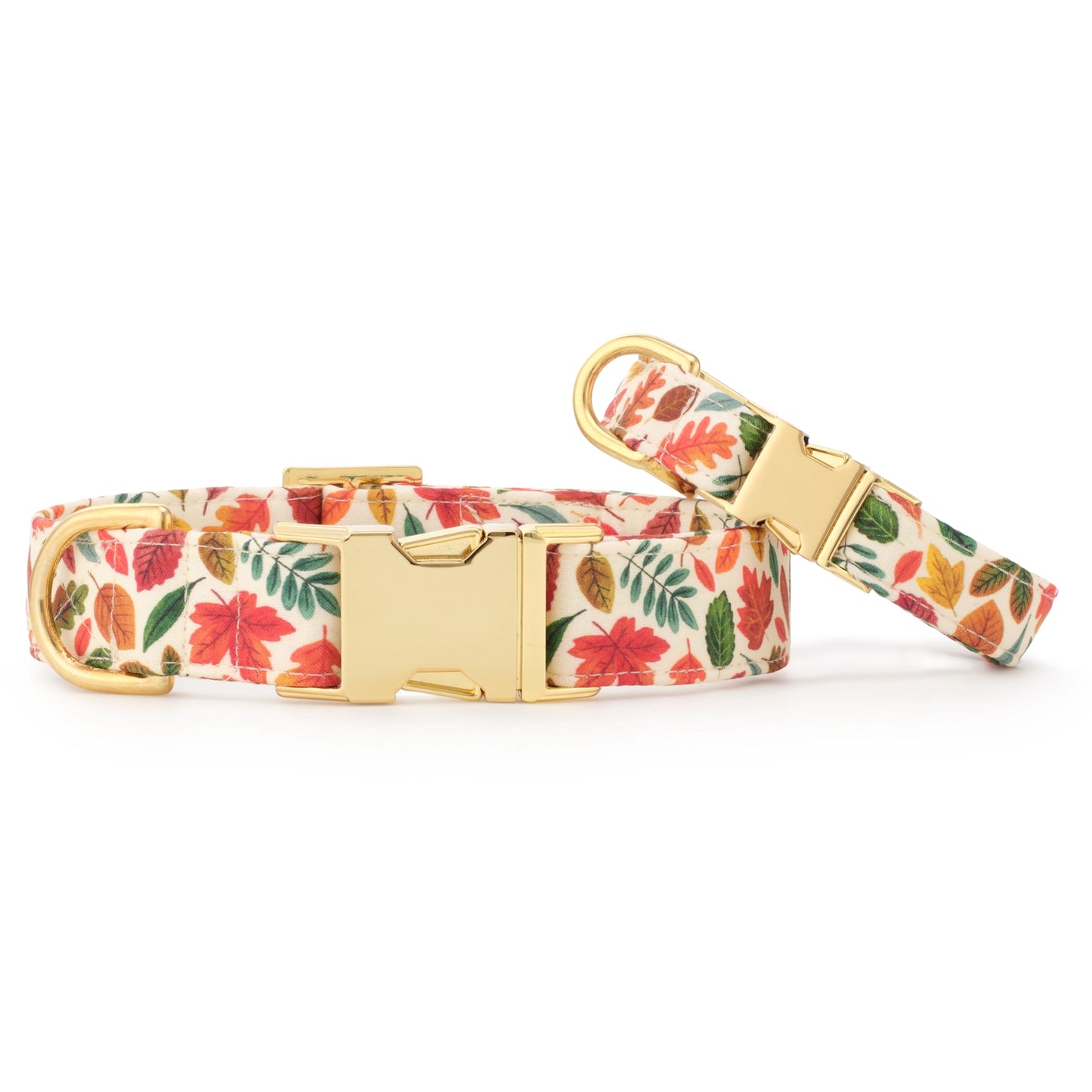 Falling Leaves Dog Collar by The Foggy Dog