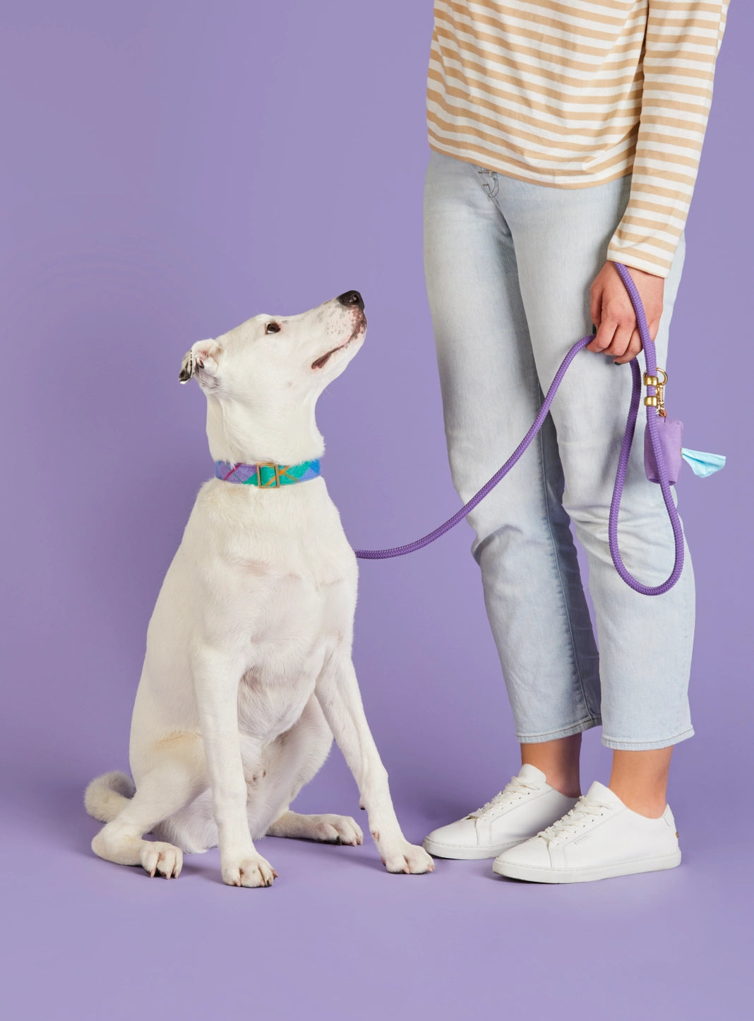 Violet Waxed Canvas Waste Bag Holder by The Foggy Dog