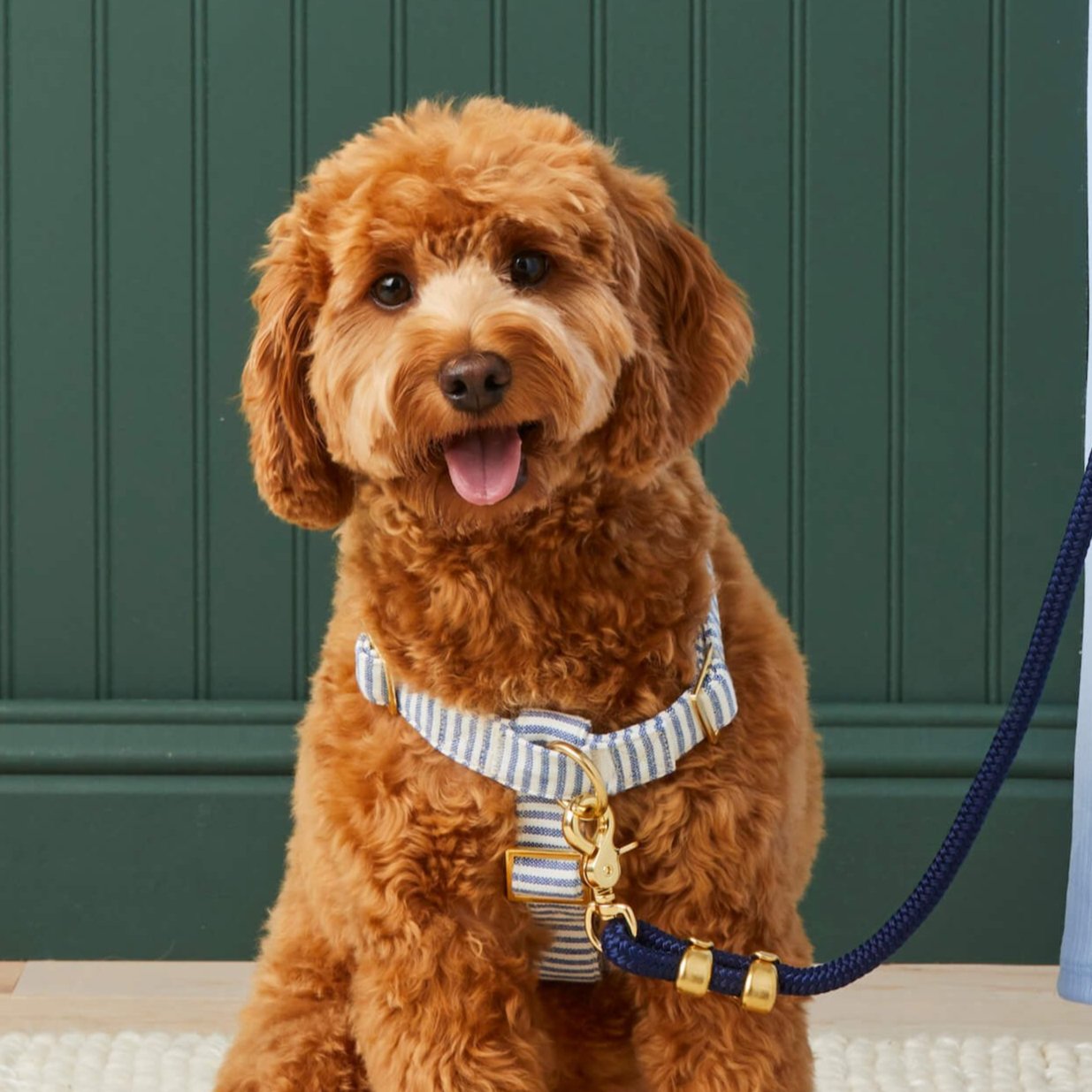 Lake Blue Stripe Dog Harness by The Foggy Dog