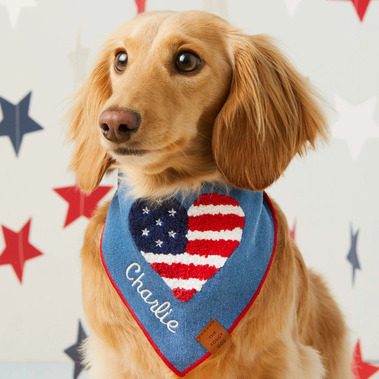 Americana Applique Dog Bandana by The Foggy Dog