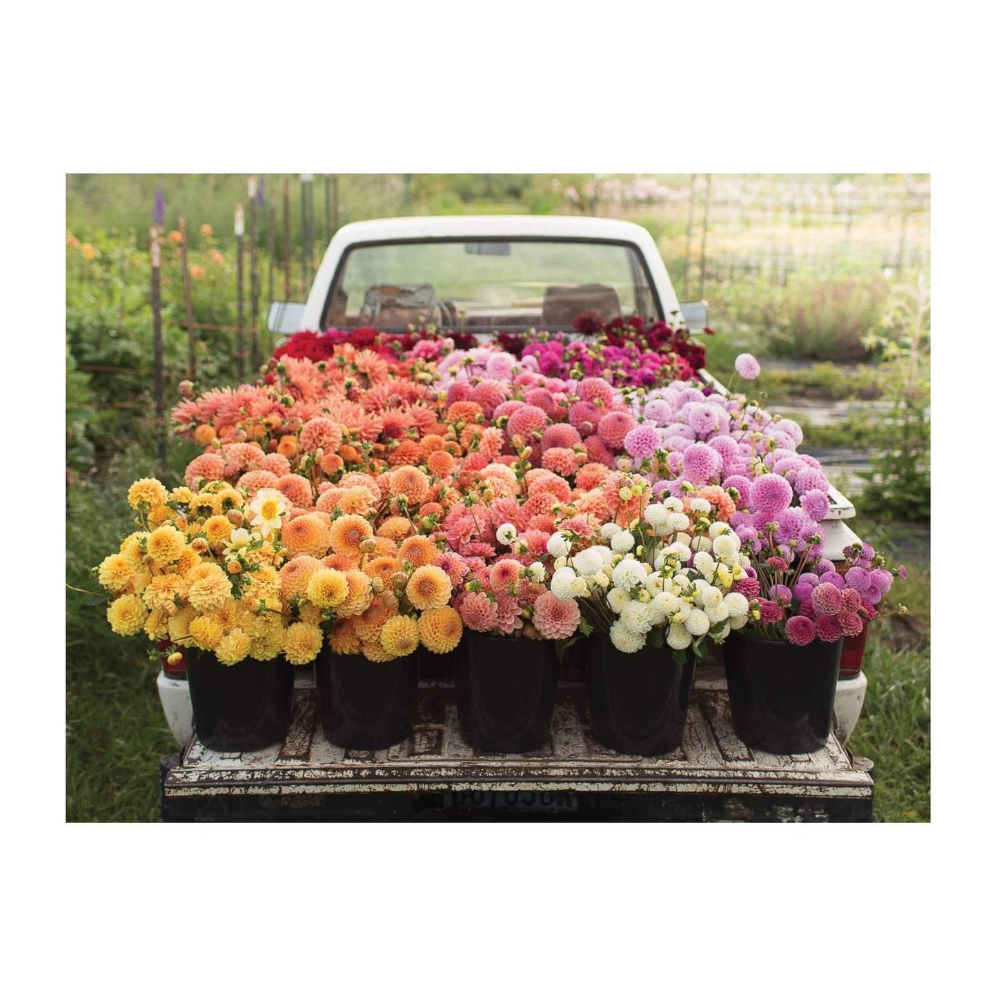 Floret Farm's Cut Flower Garden Double-Sided 500 Piece Puzzle