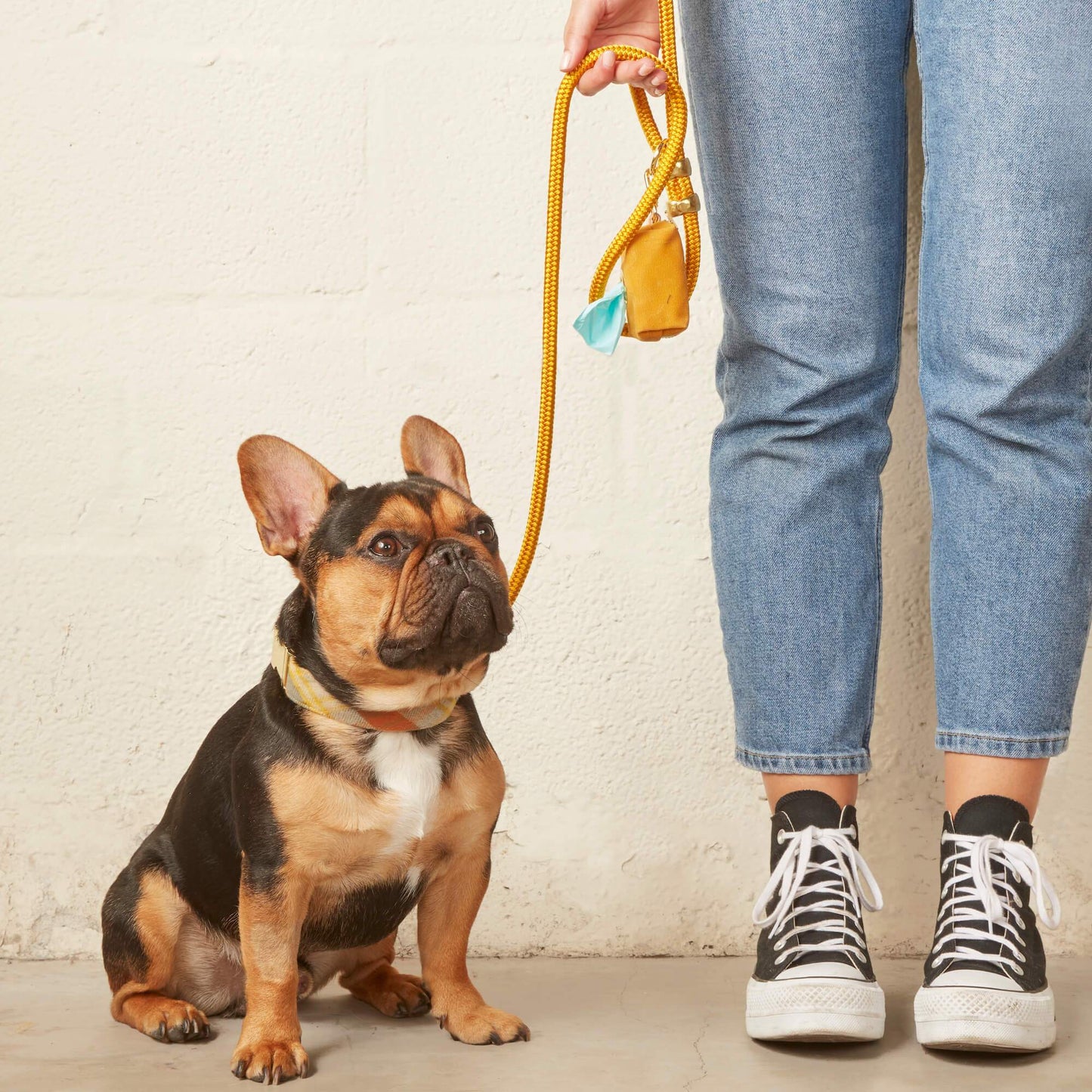 Goldenrod Marine Rope Dog Leash by The Foggy Dog