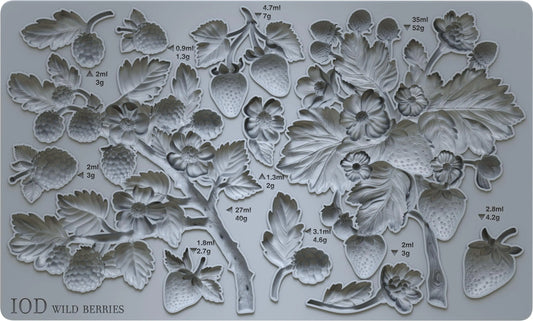 Wild Berries 6x10 IOD Mould by Iron Orchid Designs