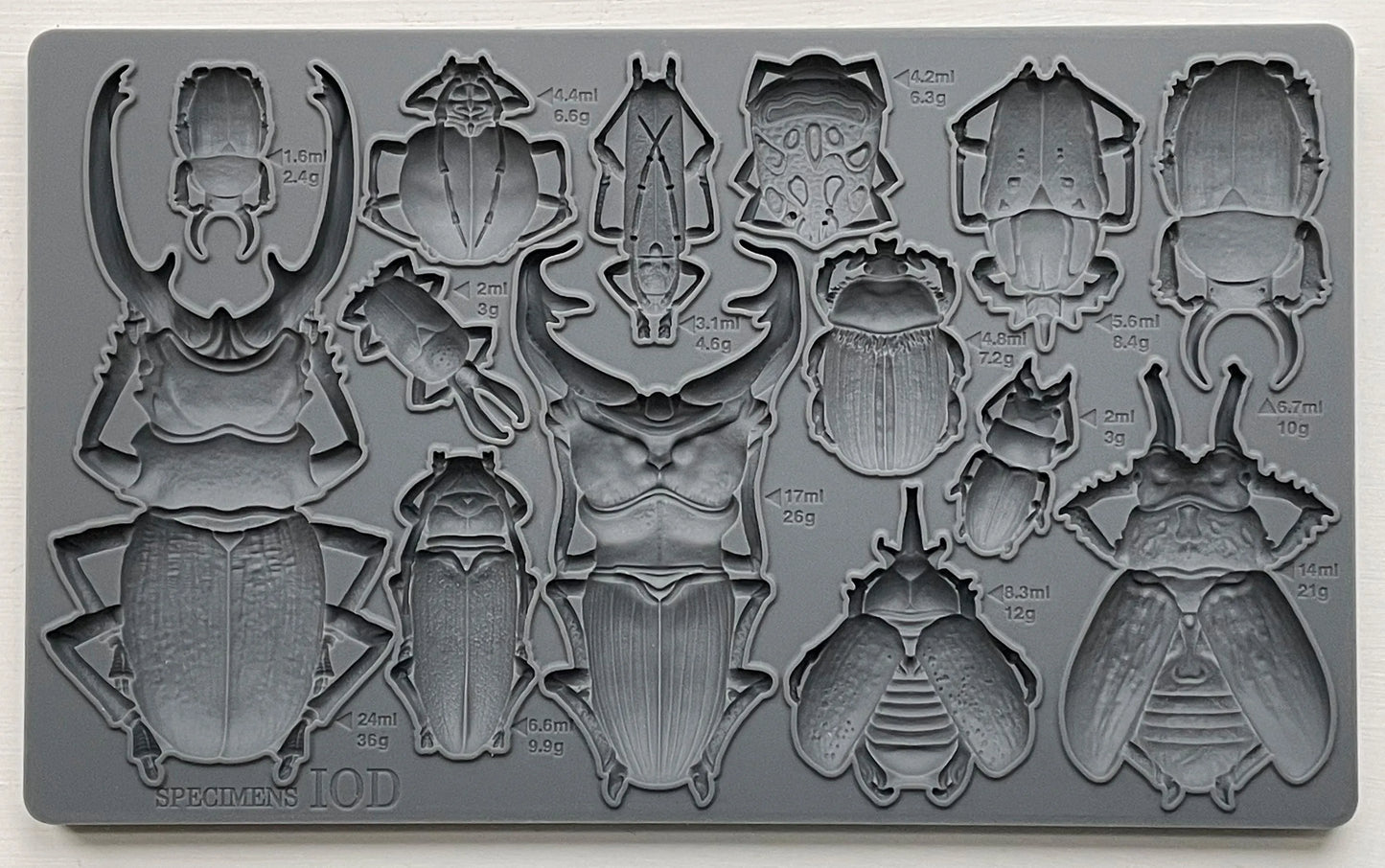 Specimens 6x10 IOD Mould by Iron Orchid Designs