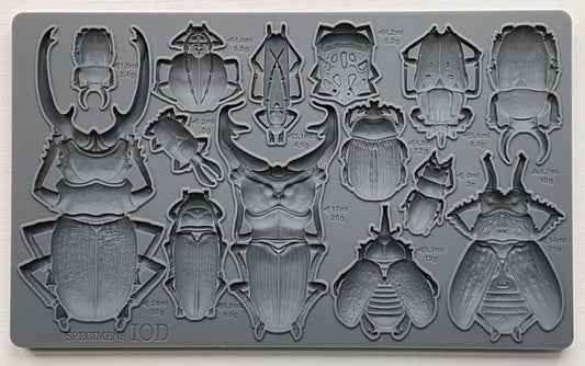 Specimens 6x10 IOD Mould by Iron Orchid Designs
