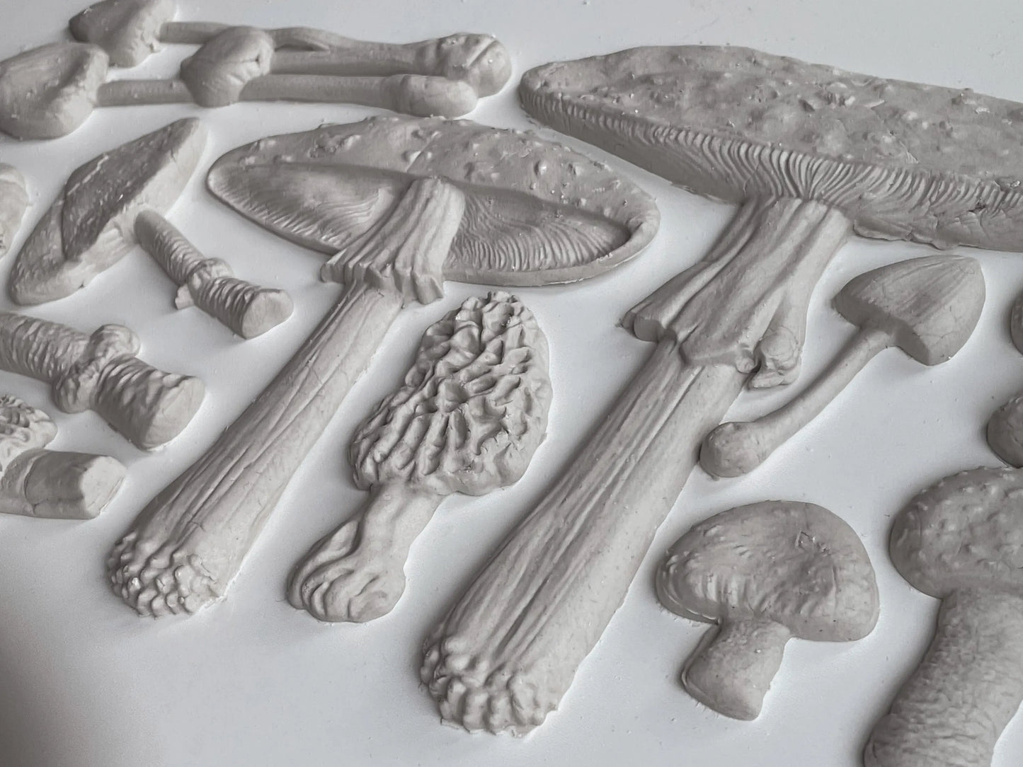 Toadstool 6x10 IOD Mould by Iron Orchid Designs