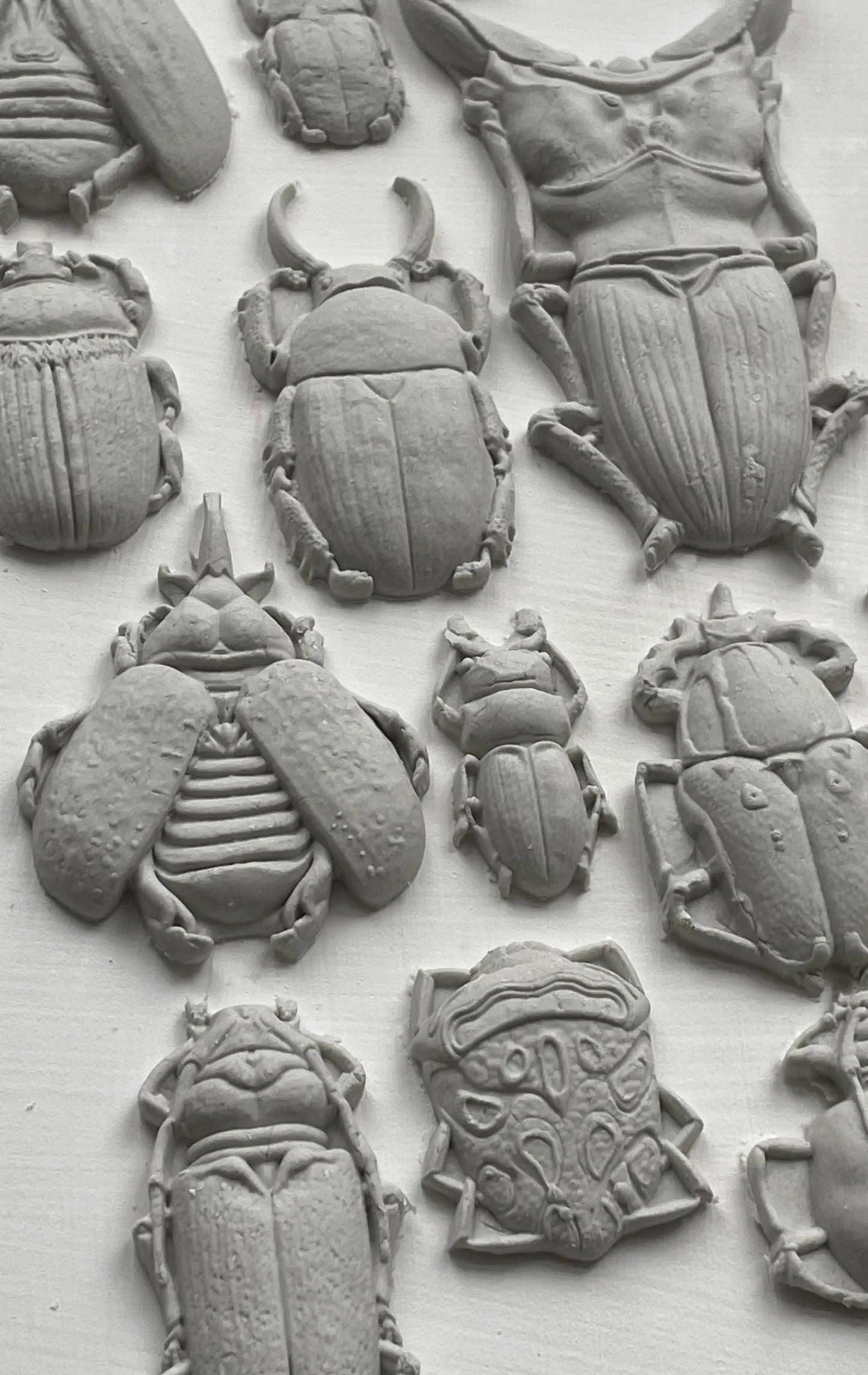 Specimens 6x10 IOD Mould by Iron Orchid Designs