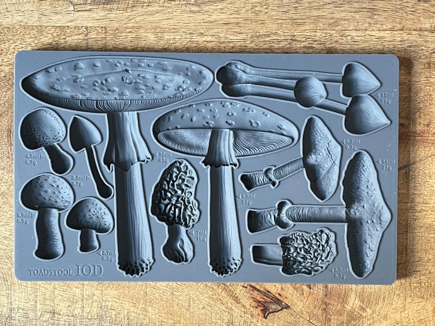Toadstool 6x10 IOD Mould by Iron Orchid Designs