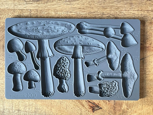 Toadstool 6x10 IOD Mould by Iron Orchid Designs