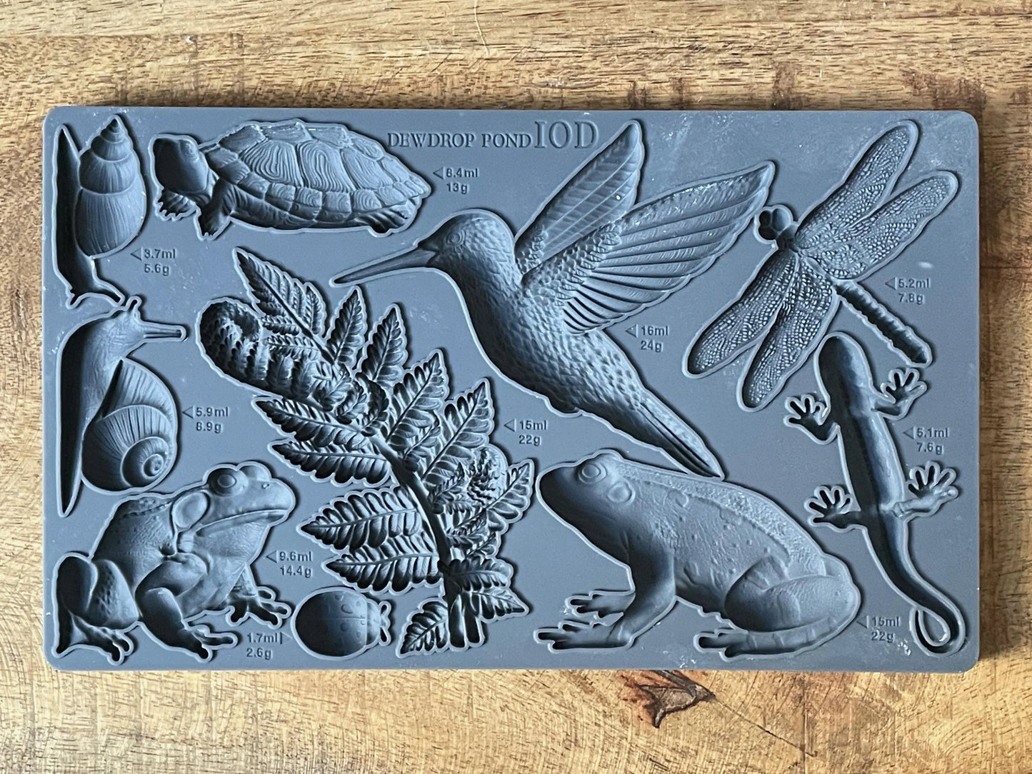 Dewdrop Pond 6x10 IOD Mould by Iron Orchid Designs