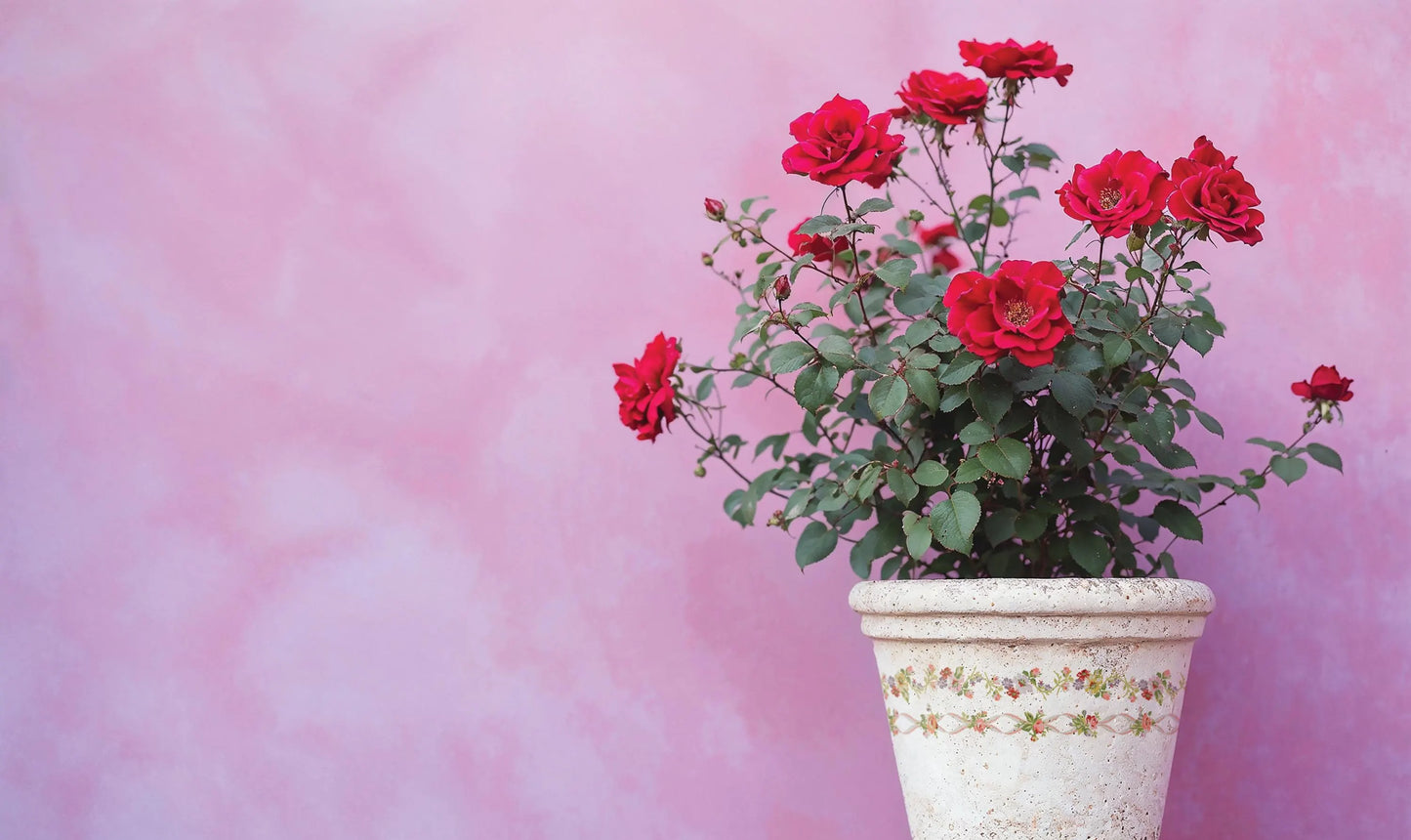 Ditsy Blooms IOD Paint Inlay 12x16 Pad by Iron Orchid Designs