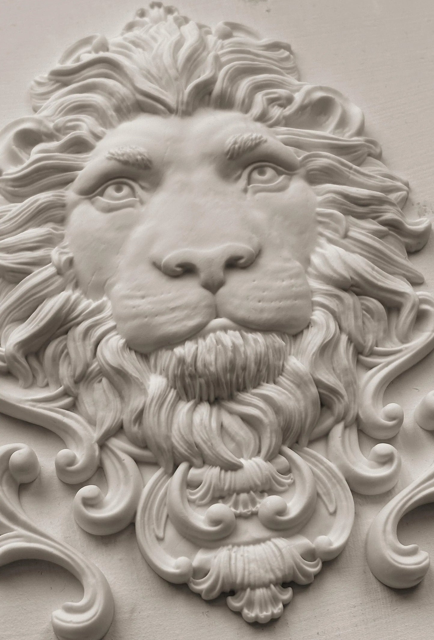 Leonidas 5x7 IOD Mould by Iron Orchid Designs