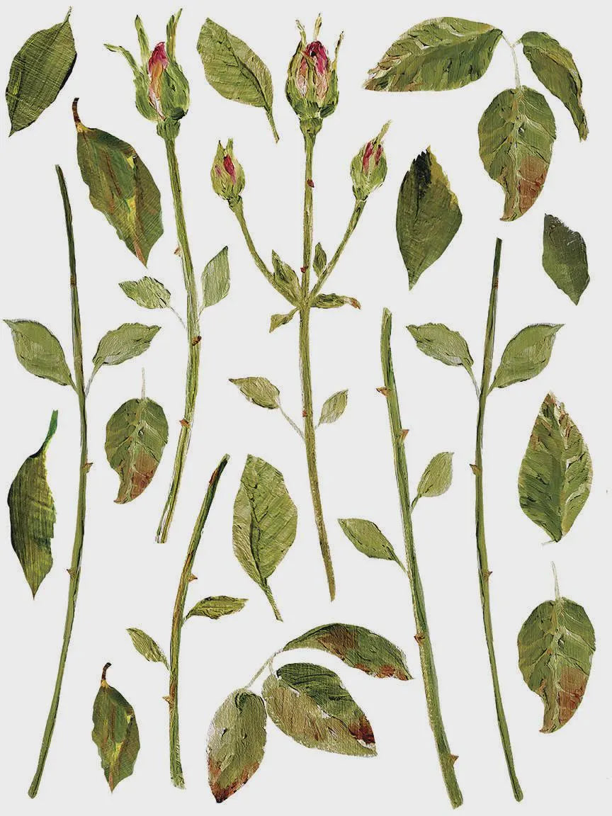 Painterly Florals IOD Transfer 12x16 Pad by Iron Orchid Designs
