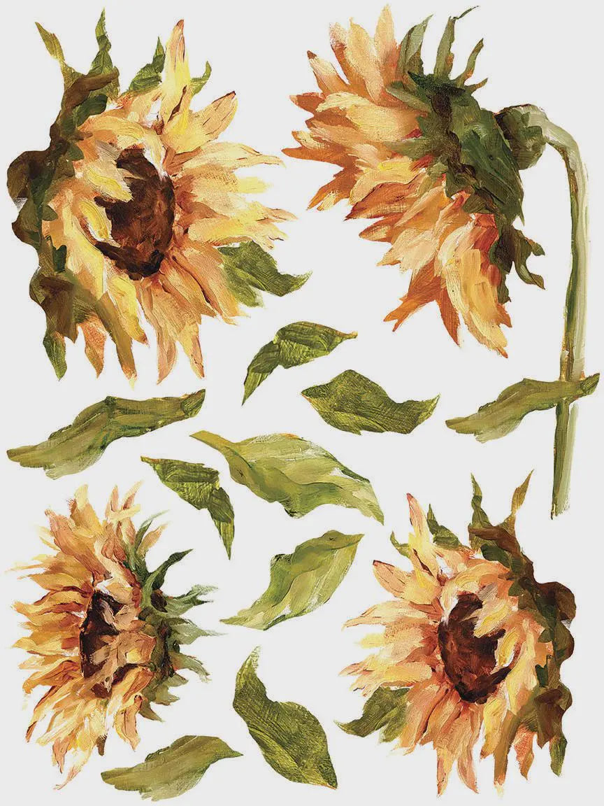 Painterly Florals IOD Transfer 12x16 Pad by Iron Orchid Designs
