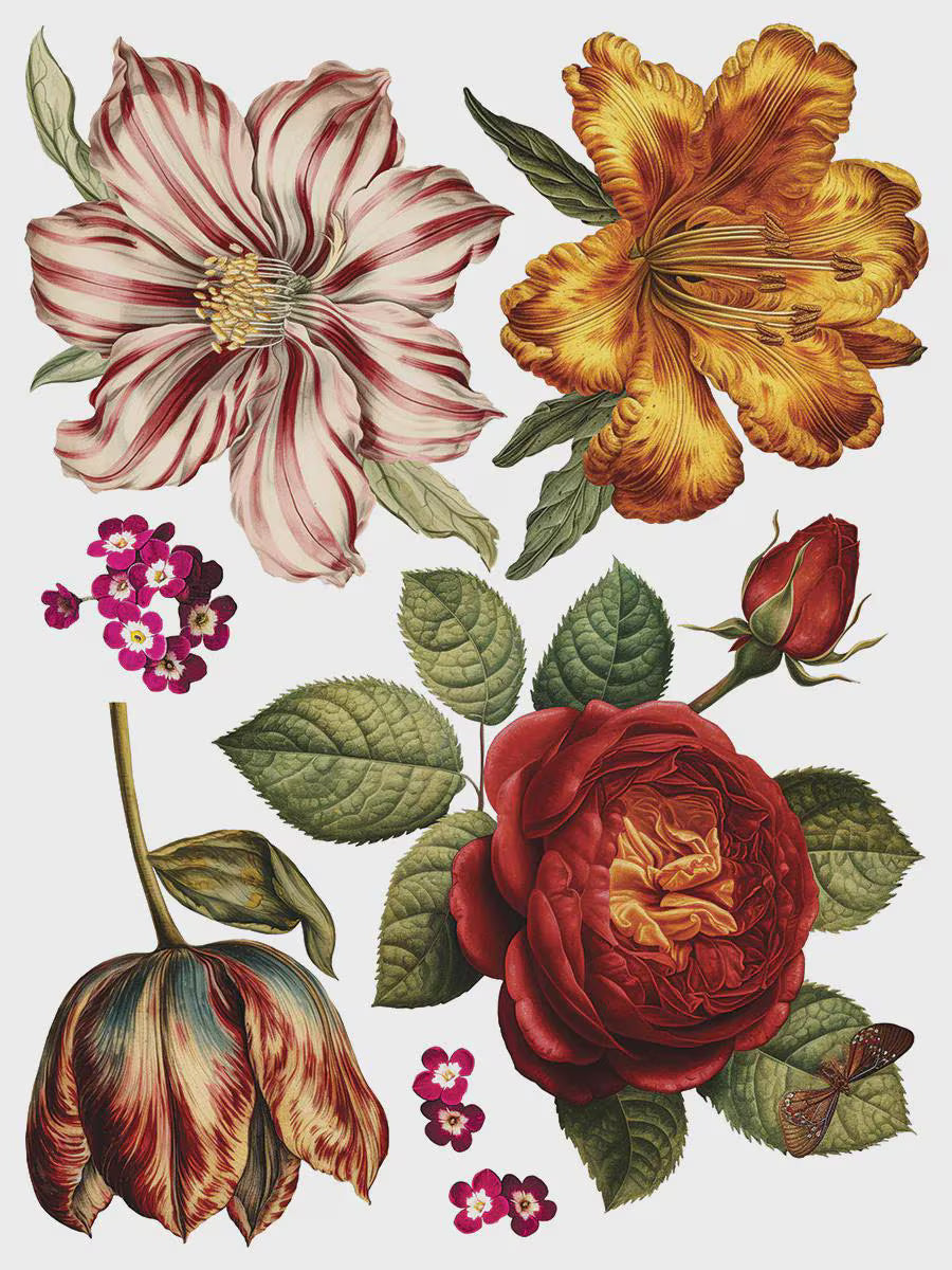 Collage de Fleurs IOD Transfer 12x16 Pad by Iron Orchid Designs