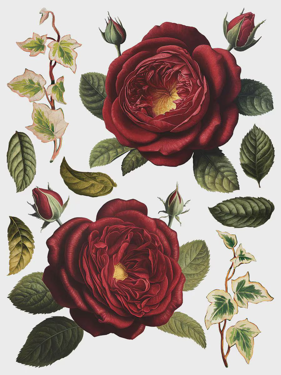 Collage de Fleurs IOD Transfer 12x16 Pad by Iron Orchid Designs
