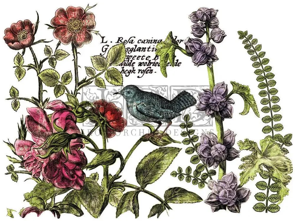Botanist's Journal IOD Transfer 12x16 Pad by Iron Orchid Designs