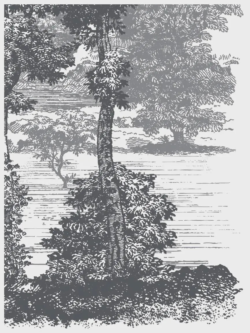 Summer Villa IOD Paint Inlay 12x16 Pad by Iron Orchid Designs