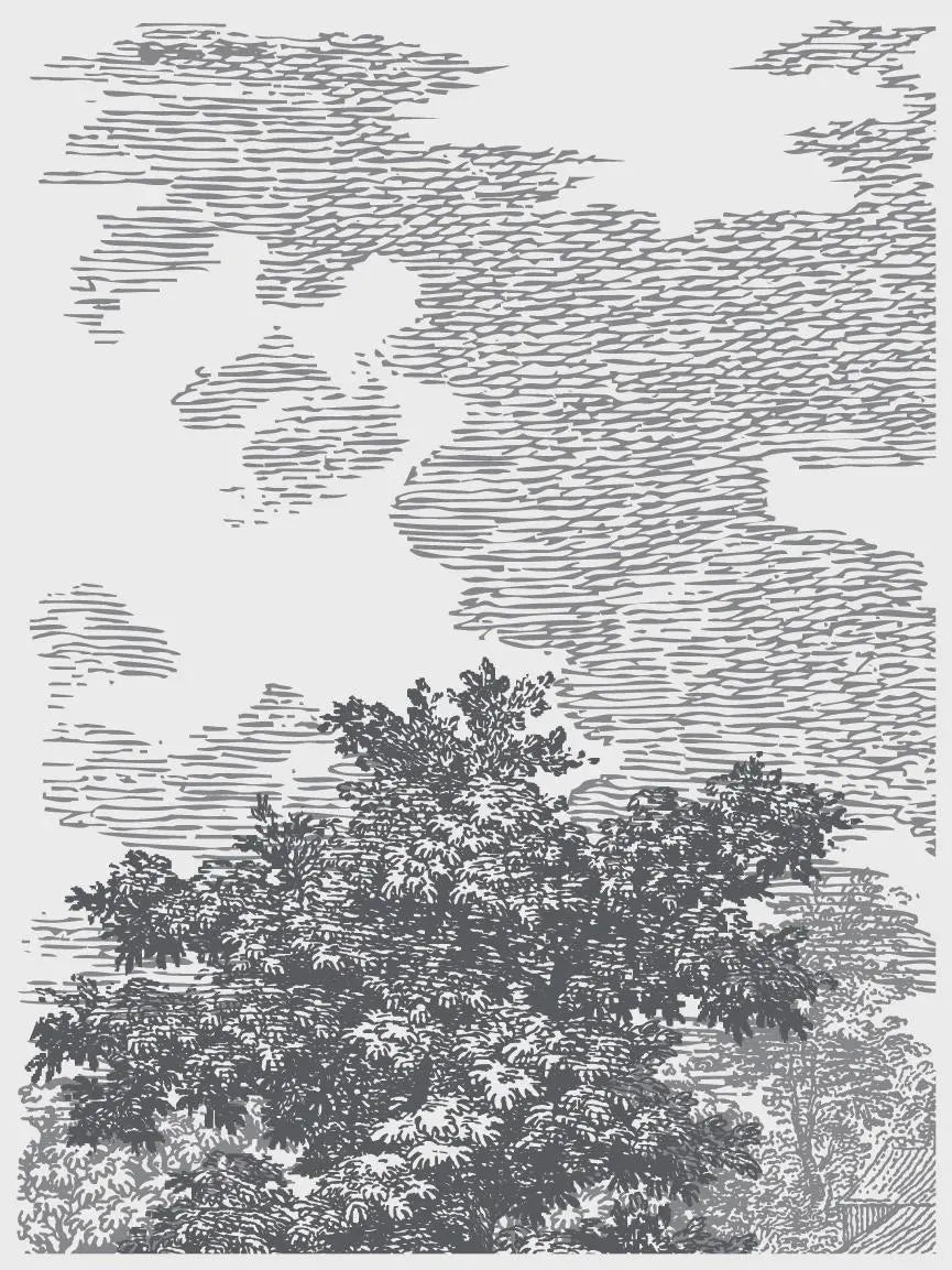 Summer Villa IOD Paint Inlay 12x16 Pad by Iron Orchid Designs