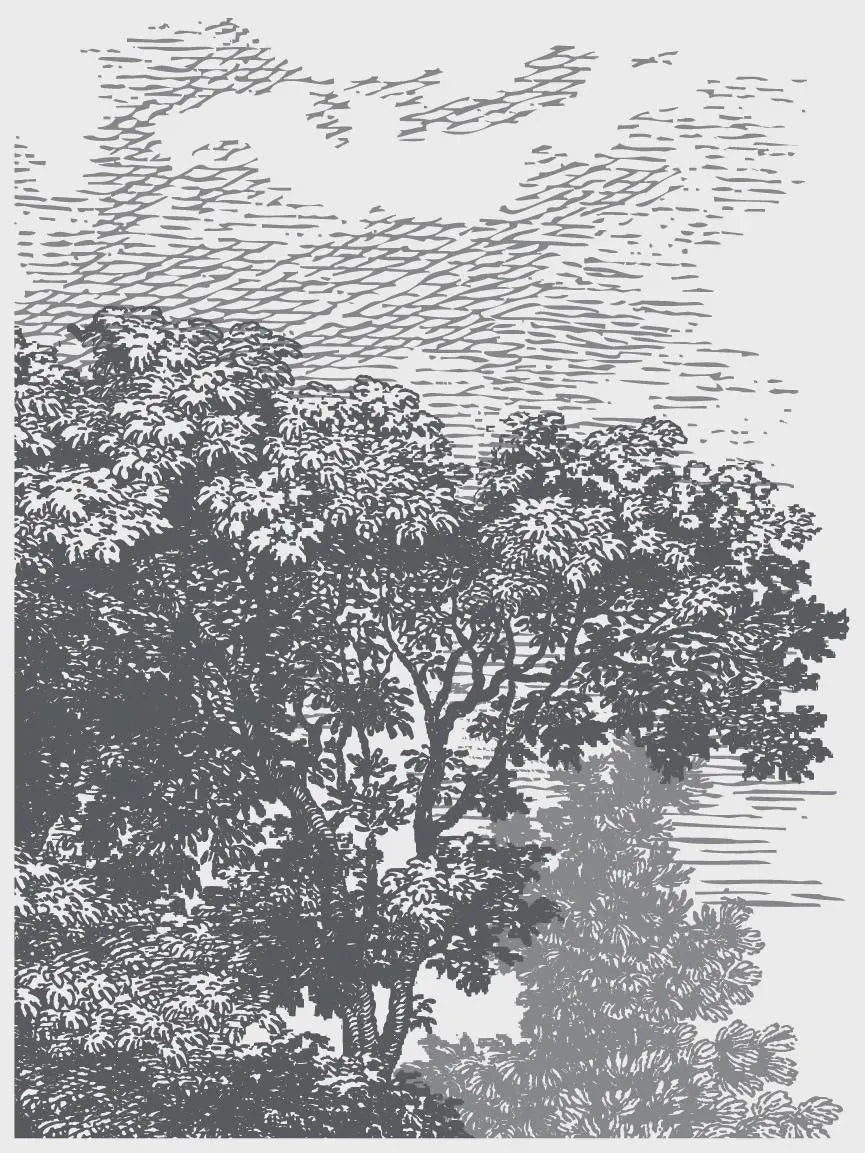 Summer Villa IOD Paint Inlay 12x16 Pad by Iron Orchid Designs