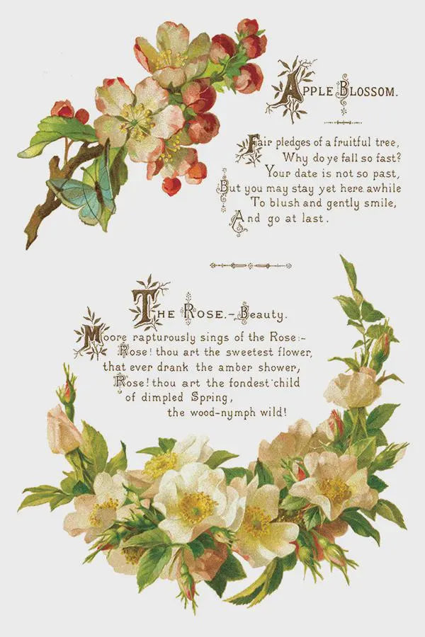 Lover of Flowers IOD Transfer 8x12 Pad by Iron Orchid Design