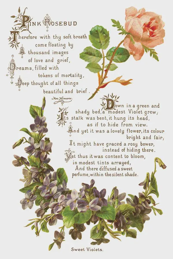Lover of Flowers IOD Transfer 8x12 Pad by Iron Orchid Design