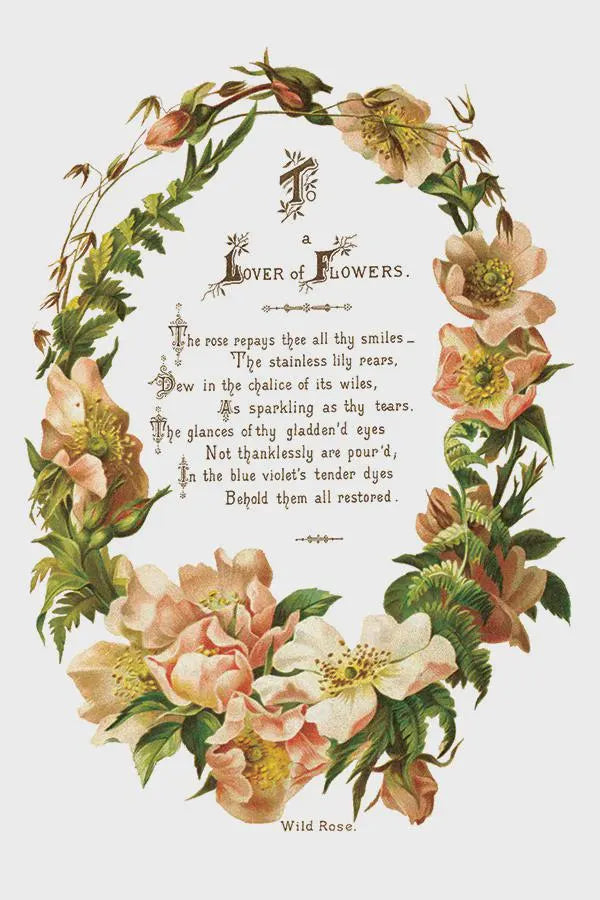 Lover of Flowers IOD Transfer 8x12 Pad by Iron Orchid Design