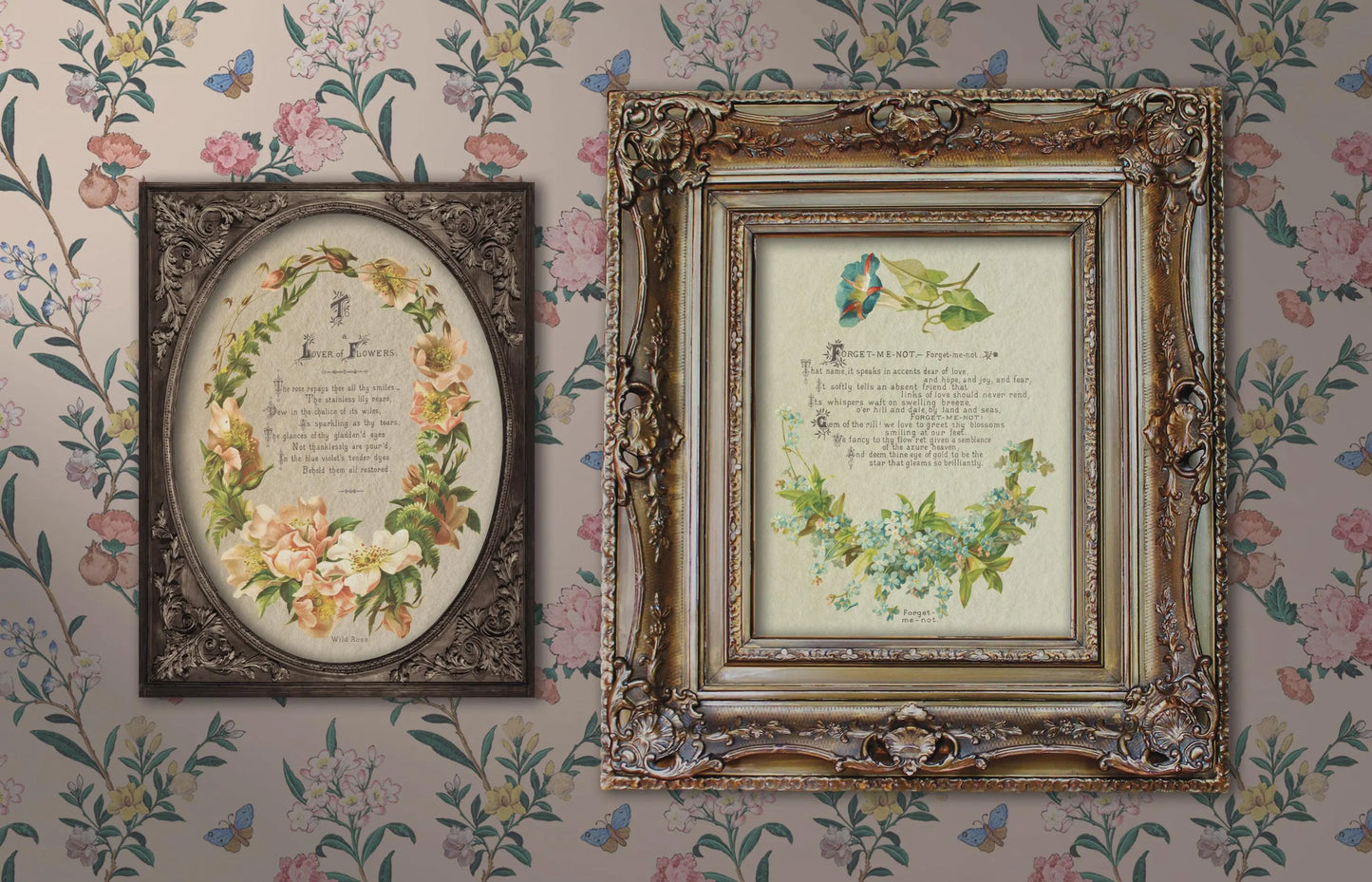 Lover of Flowers IOD Transfer 8x12 Pad by Iron Orchid Design