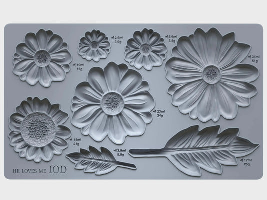 He Loves Me 6x10 IOD Mould by Iron Orchid Designs