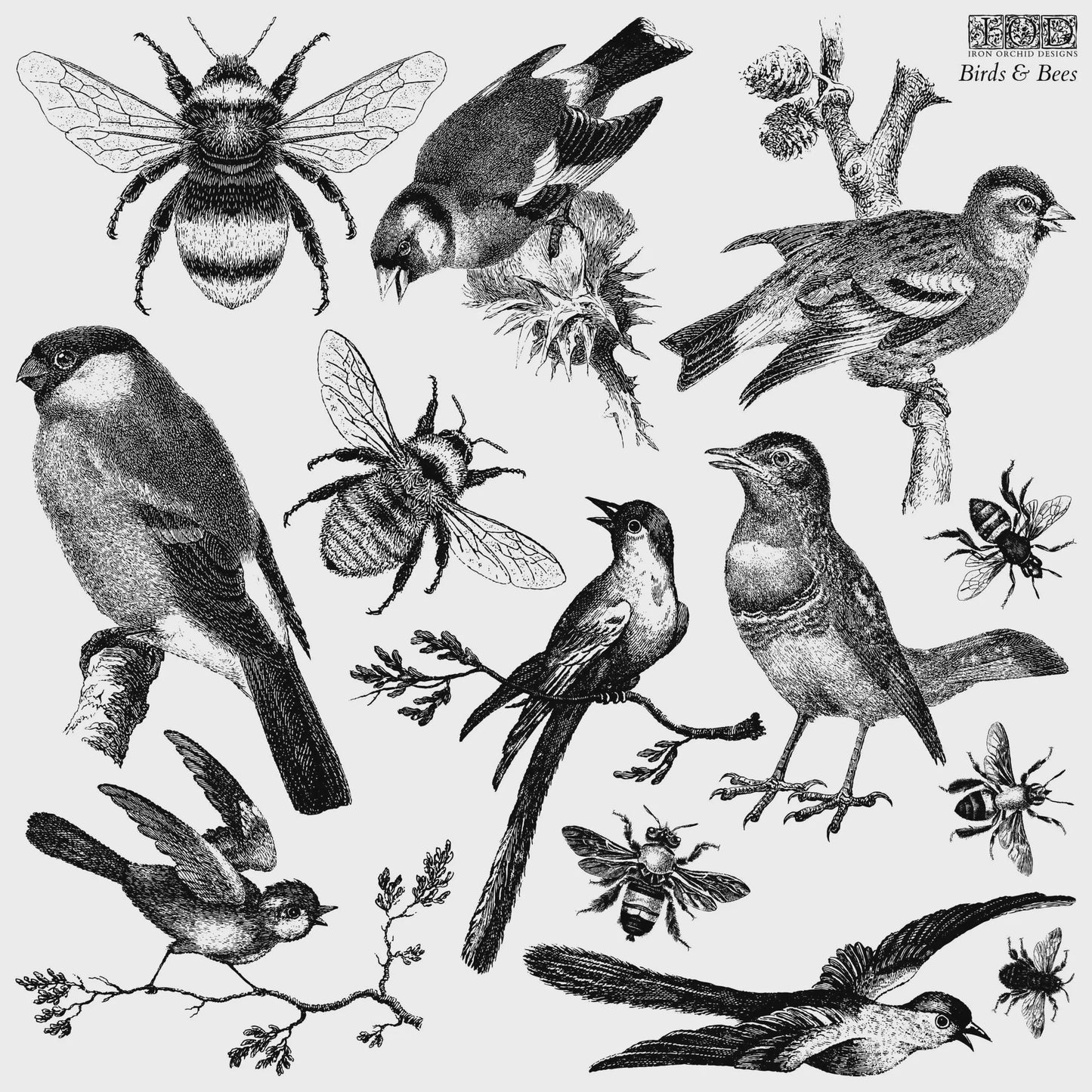 Birds & Bees 12x12 IOD Decor Stamp by Iron Orchid Designs