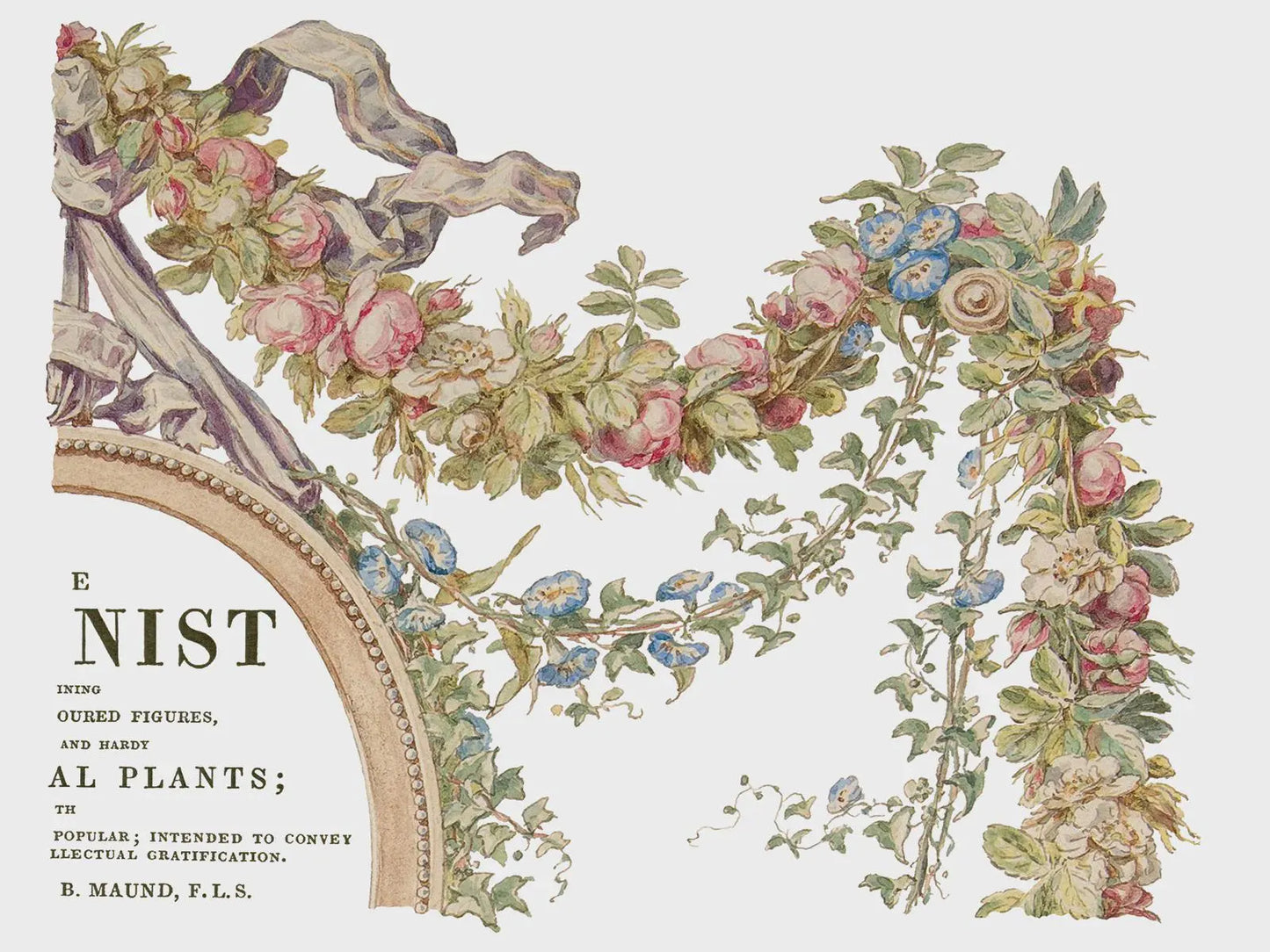 The Botanist IOD Transfer 12x16 Pad by Iron Orchid Designs (Retired!)