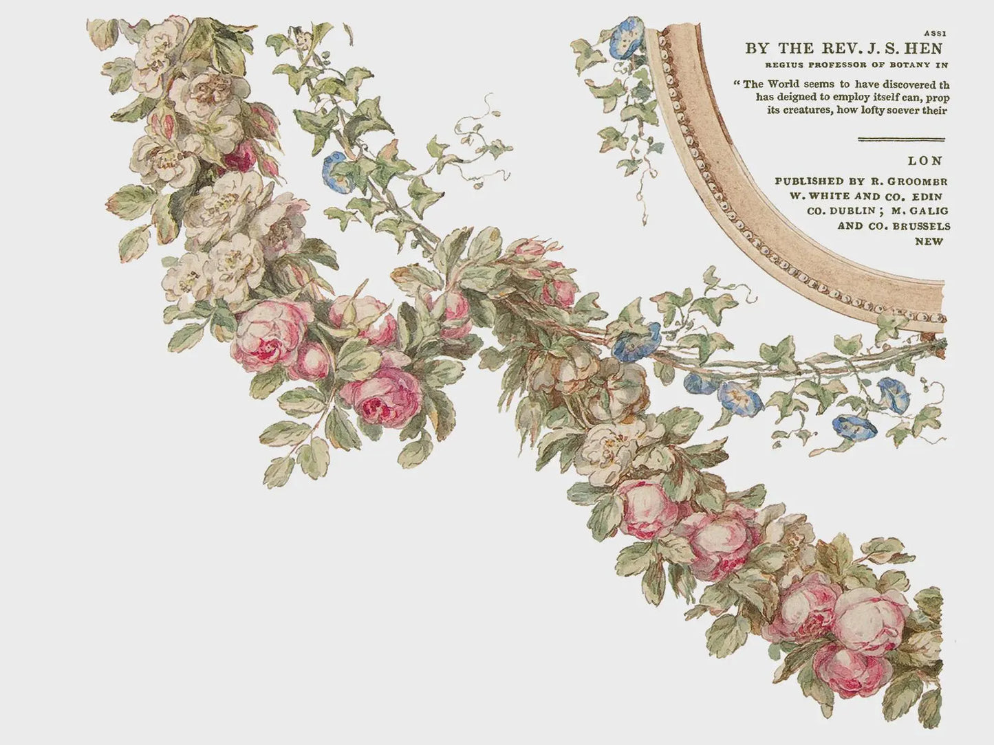 The Botanist IOD Transfer 12x16 Pad by Iron Orchid Designs (Retired!)