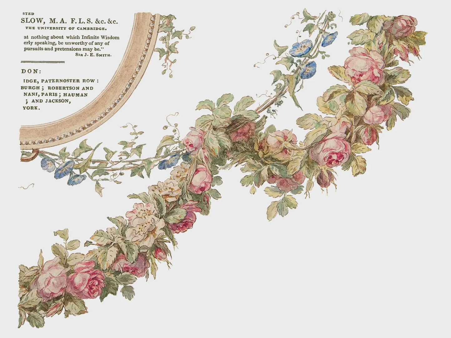 The Botanist IOD Transfer 12x16 Pad by Iron Orchid Designs (Retired!)