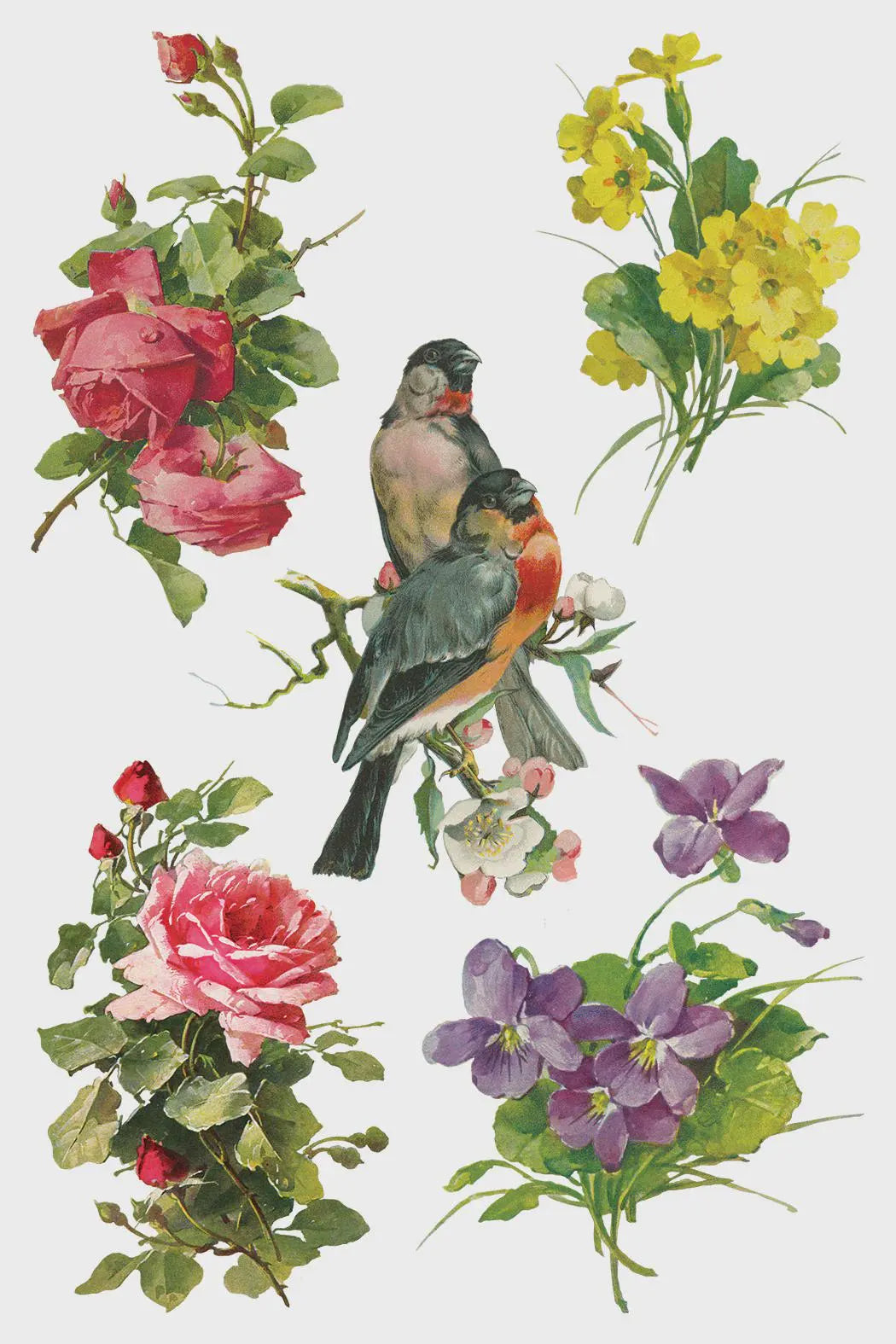 Catharina IOD Transfer 8x12 Pad by Iron Orchid Designs