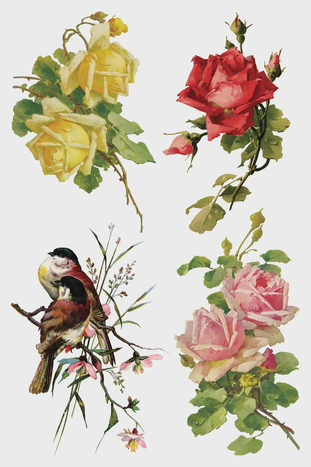 Catharina IOD Transfer 8x12 Pad by Iron Orchid Designs