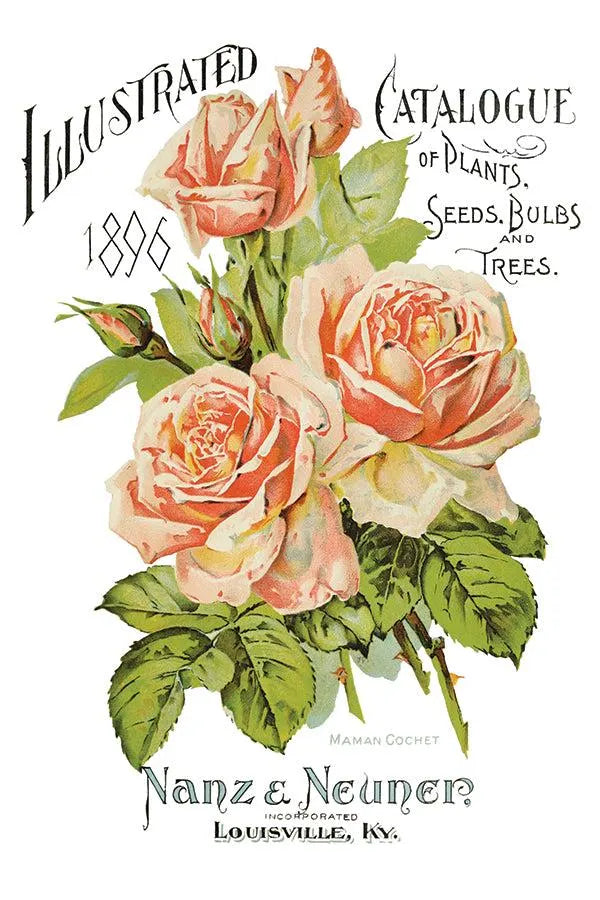 Ephemeral Melange IOD Transfer 8x12 Pad by Iron Orchid Designs