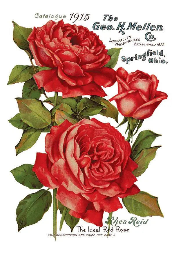Ephemeral Melange IOD Transfer 8x12 Pad by Iron Orchid Designs