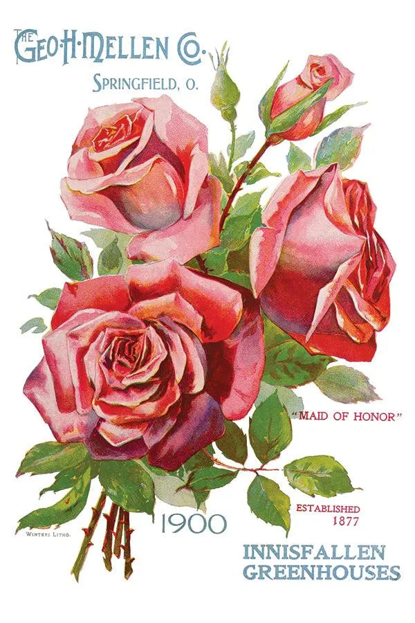 Ephemeral Melange IOD Transfer 8x12 Pad by Iron Orchid Designs