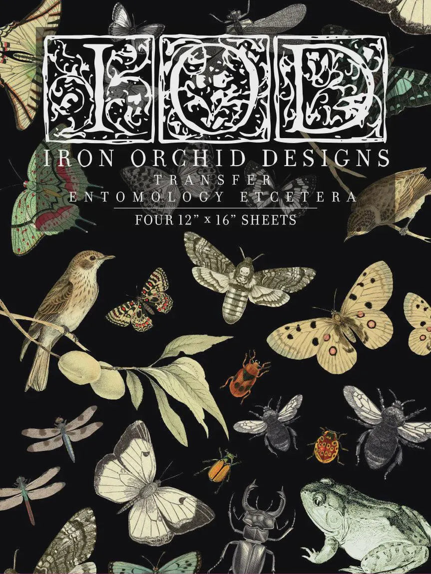 Entomology Etcetera IOD Transfer 12x16 Pad by Iron Orchid Designs