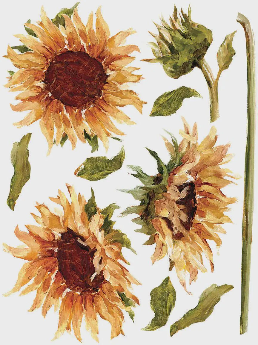 Painterly Florals IOD Transfer 12x16 Pad by Iron Orchid Designs