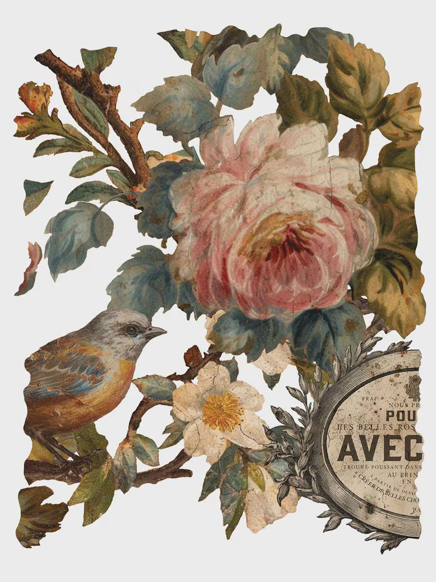Joie Des Roses IOD Transfer 12x16 Pad by Iron Orchid Designs
