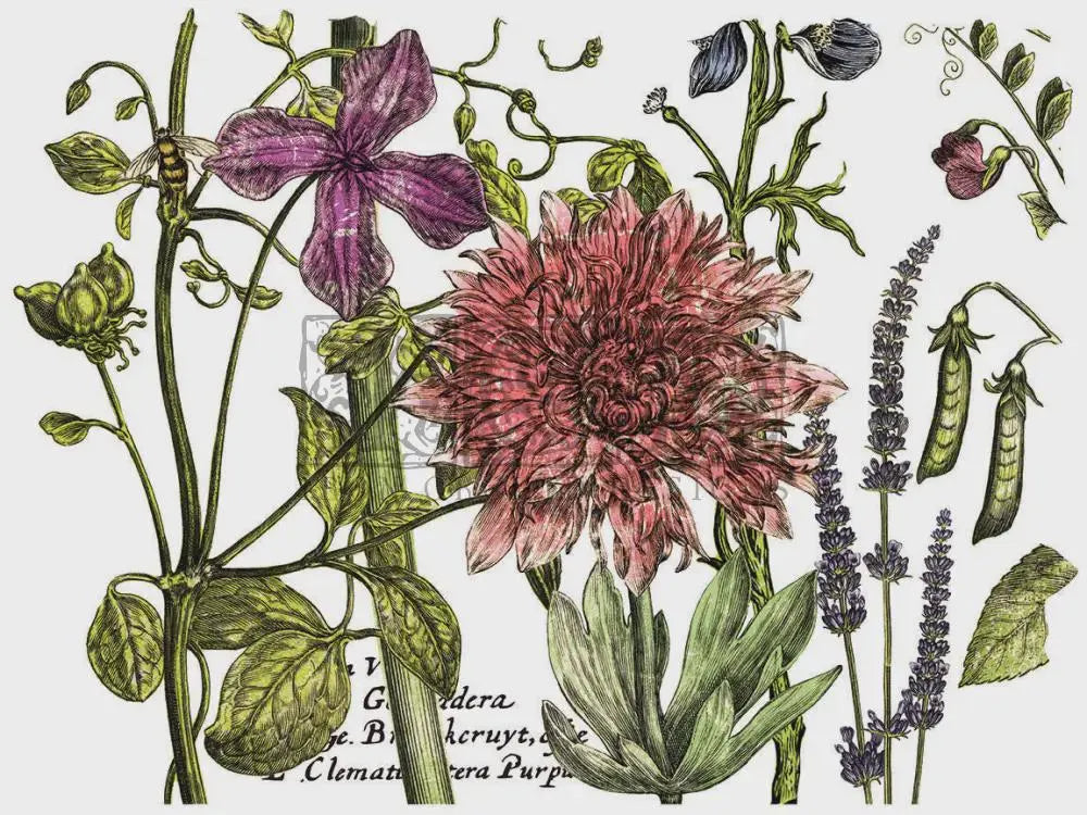 Botanist's Journal IOD Transfer 12x16 Pad by Iron Orchid Designs
