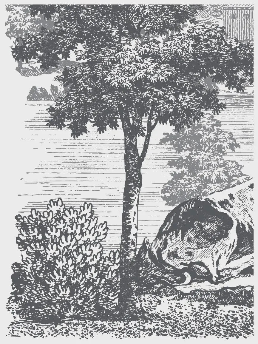 Summer Villa IOD Paint Inlay 12x16 Pad by Iron Orchid Designs