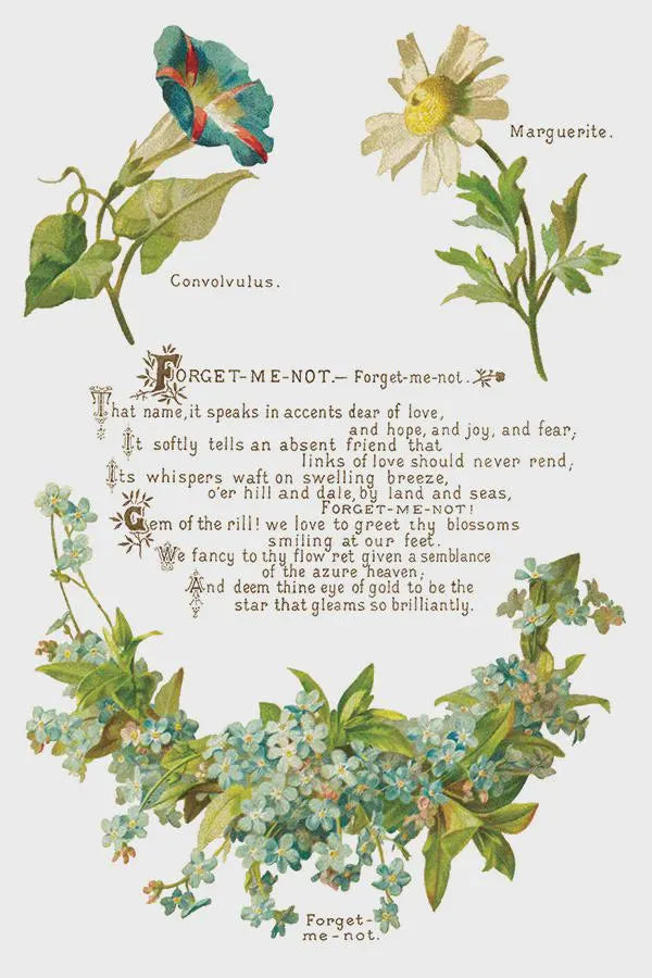 Lover of Flowers IOD Transfer 8x12 Pad by Iron Orchid Design