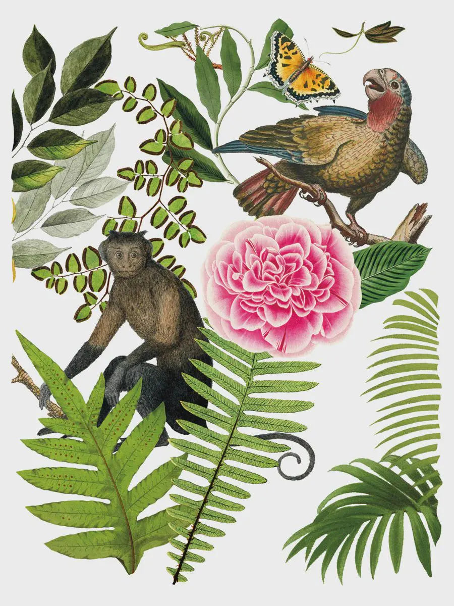 Bungalow IOD Transfer 12x16 Pad by Iron Orchid Designs