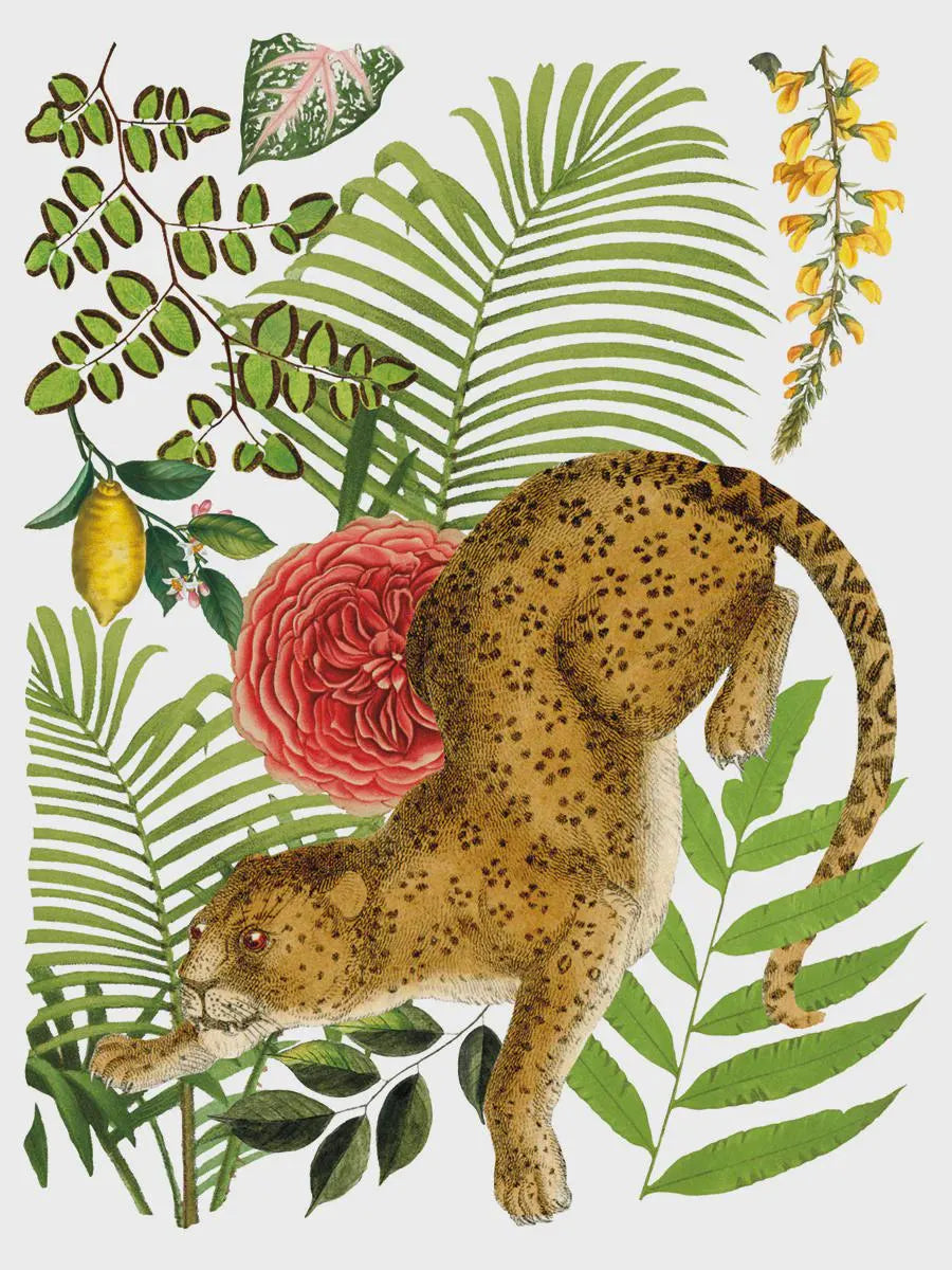 Bungalow IOD Transfer 12x16 Pad by Iron Orchid Designs