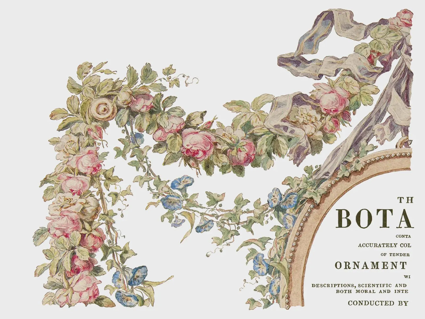 The Botanist IOD Transfer 12x16 Pad by Iron Orchid Designs (Retired!)