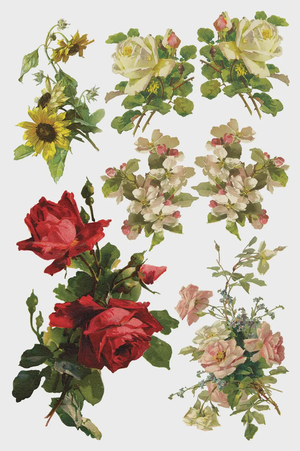 Catharina IOD Transfer 8x12 Pad by Iron Orchid Designs